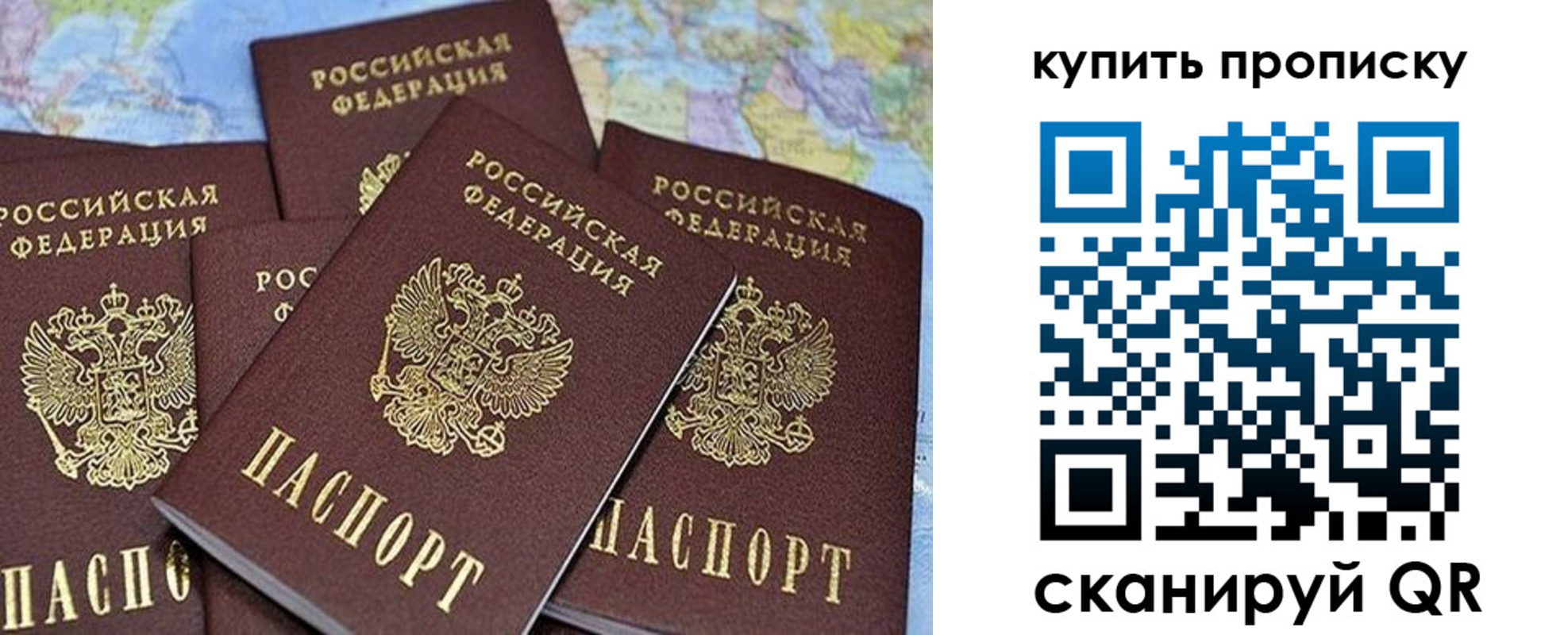 прописка в квартире в Курске